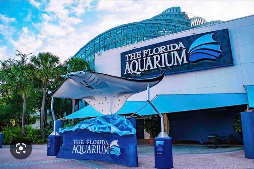 Minutes To Fairgrounds, Hard Rock, & Busch Gardens Holiday home Tampa